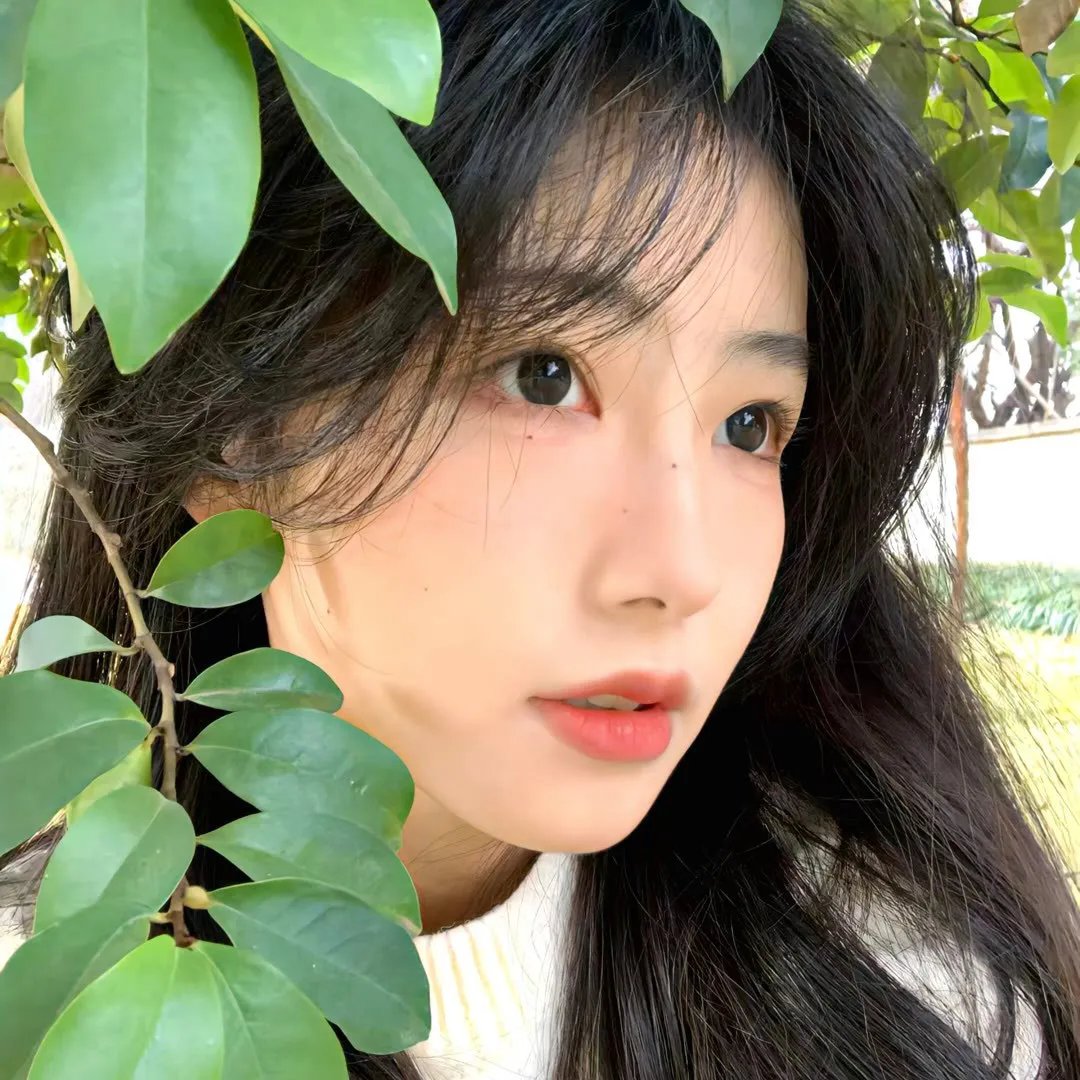 继承厄运
