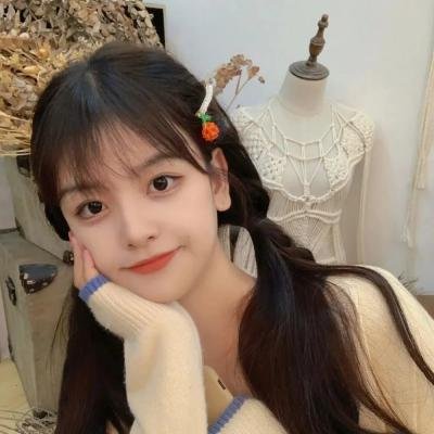 公牛骑士